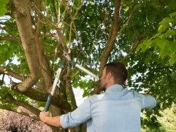 Gardena Pruning Loppers EnergyCut 750 A -Gardena Store 12008 20 gardena pruning loppers energycut 750 a 3