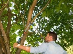 Gardena Pruning Loppers TeleCut 650-900 B 8 Gardena Pruning Loppers TeleCut 650-900 B -Gardena Store 12009 20 gardena pruning loppers telecut 650 900 b 3