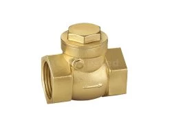 Brass Check Valve 20mm
