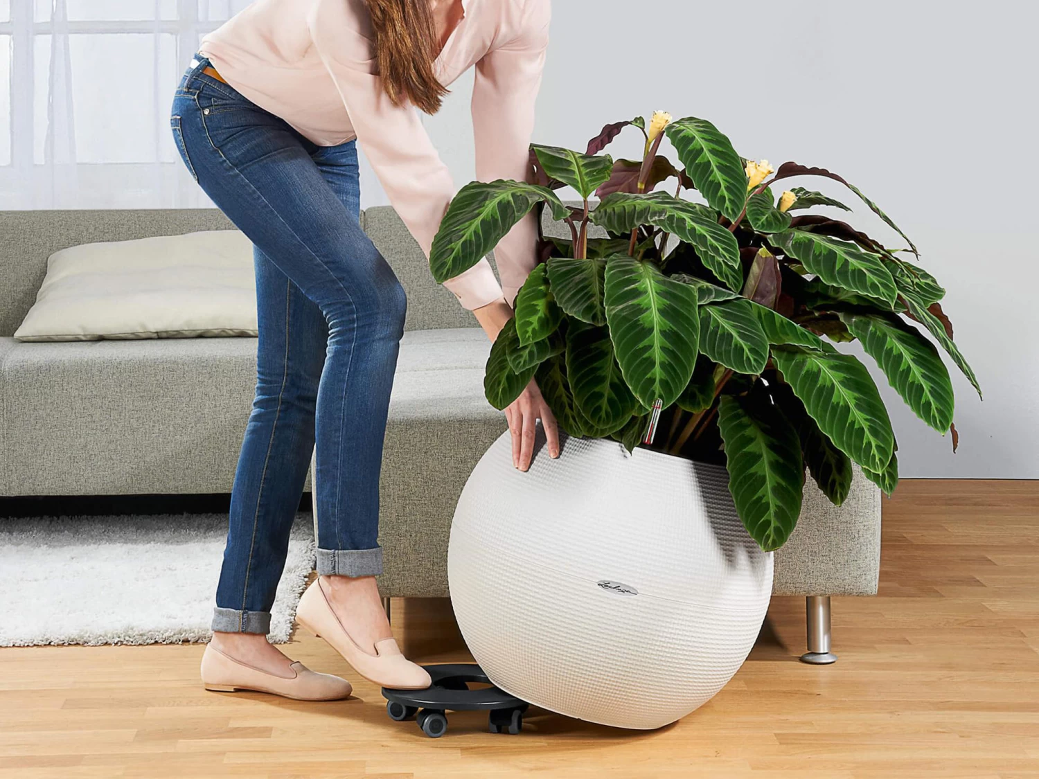 Lechuza Canto 40 Coaster - Graphite 4 Lechuza Canto 40 Coaster - Graphite - Image 2