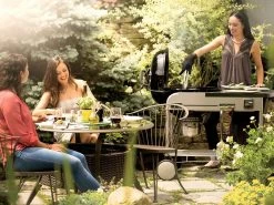 Weber Performer Premium 57cm Black -Gardena Store 15401001 weber performer premium 57cm black 11