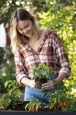 Keter Alfresco Raised Planter Bed 105L Charcoal -Gardena Store 17209689 keter alfresco raised planter bed 105l charcoal 10