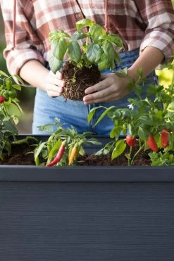 Keter Alfresco Raised Planter Bed 105L Charcoal -Gardena Store 17209689 keter alfresco raised planter bed 105l charcoal 11