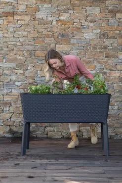 Keter Splendor Raised Planter Bed 120L Graphite 22 Keter Splendor Raised Planter Bed 120L Graphite -Gardena Store 17211629 keter raised planter bed 120l graphite 5