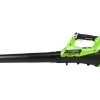 Greenworks Blower G-MAX 40V Li-Ion Axial 4.0Ah Kit 1 Greenworks Blower G-MAX 40V Li-Ion Axial 4.0Ah Kit -Gardena Store 2400807 greenworks blower g max 40v li ion axial 2 1