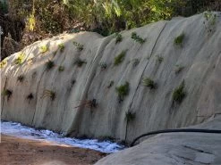 Biojute Biodegradable Ground Cover 350gsm 1m X 20m 9 Biojute Biodegradable Ground Cover 350gsm 1m X 20m -Gardena Store 56979 biojute biodegradable ground cover 350gsm 1m x 20m 5b