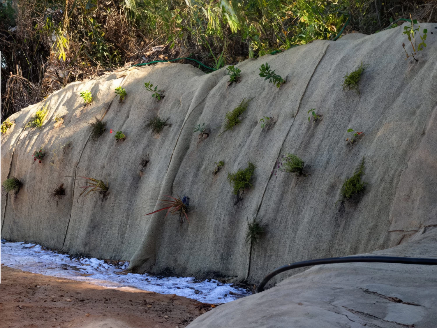 Biojute Biodegradable Ground Cover 350gsm 1m X 20m 5 Biojute Biodegradable Ground Cover 350gsm 1m X 20m - Image 3