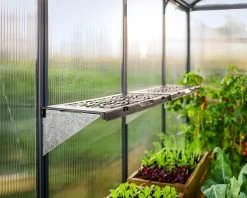 Palram Mythos Leaves Twin Shelf Kit -Gardena Store 707010 canopia leaves shelf kit 10