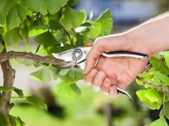 Gardena Premium Bypass Secateurs -Gardena Store 8702 20 gardena premium bypass secateurs 2