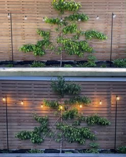 Festoon Light Support Poles - Pair -Gardena Store 902230 festoon light support pole 2 pieces 6