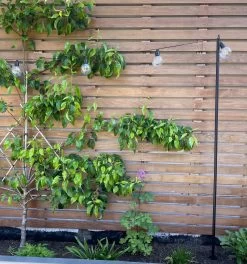 Festoon Light Support Poles - Pair -Gardena Store 902230 festoon light support pole 2 pieces 7