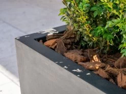 Delgada Fiberstone Planter Black 200L -Gardena Store 907647 delgada fiberstone planter 200l 4b