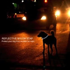 Fetch Smart Anti-Bark Dog Collar No Shock 20 Fetch Smart Anti-Bark Dog Collar No Shock -Gardena Store 913352 fetch smart anti bark collar no shock 9b