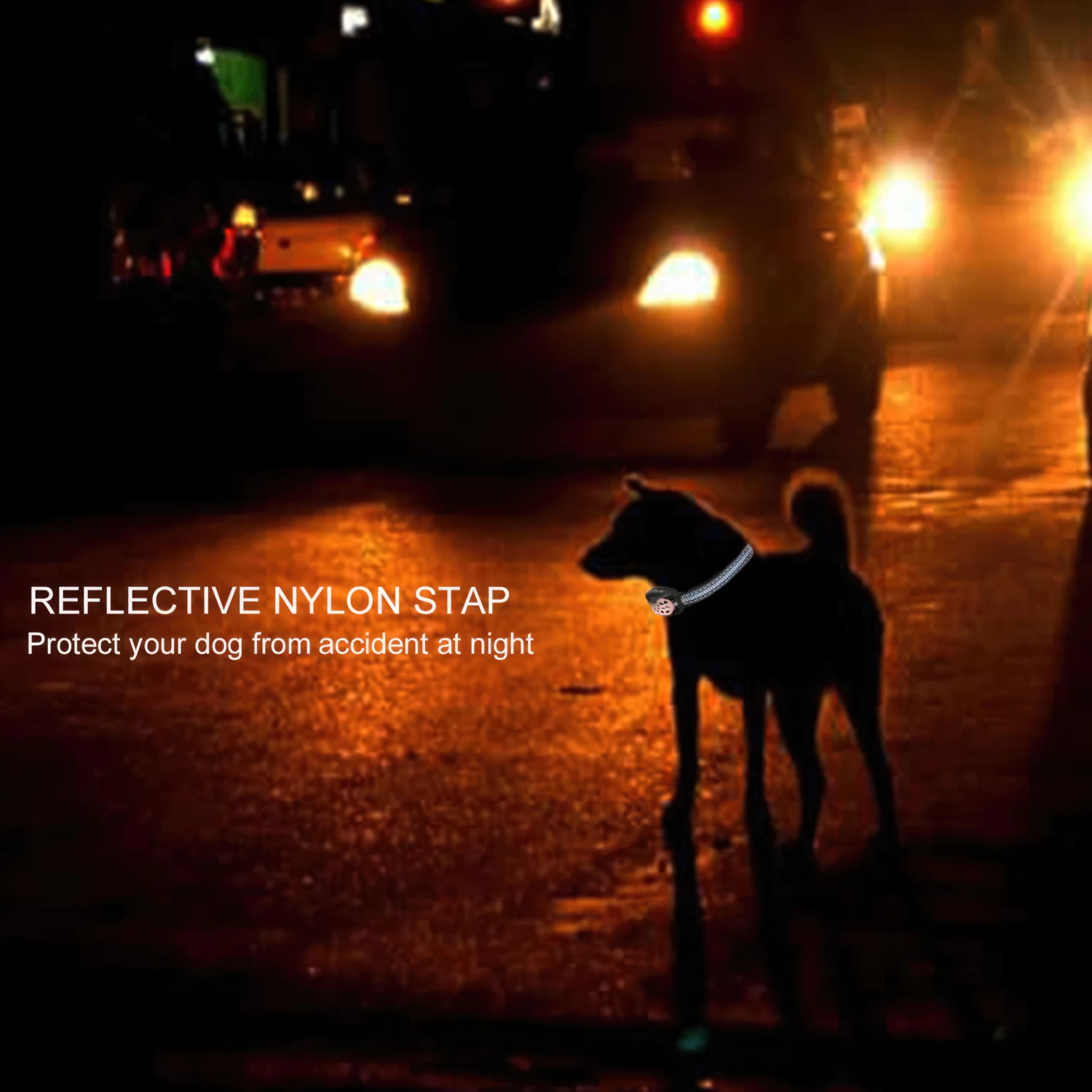 Fetch Smart Anti-Bark Dog Collar No Shock 11 Fetch Smart Anti-Bark Dog Collar No Shock - Image 9