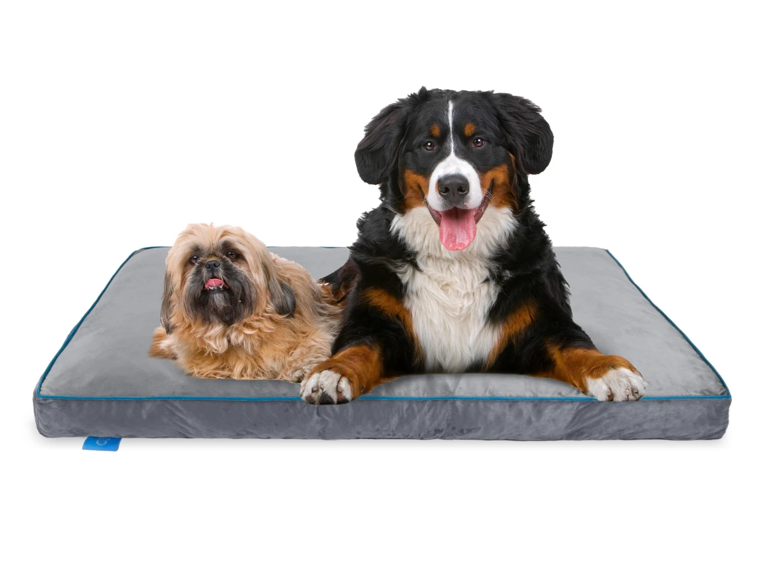Fetch Orthopedic Memory Foam Dog Bed 12cm Thick XX-Large 4 Fetch Orthopedic Memory Foam Dog Bed 12cm Thick XX-Large - Image 2
