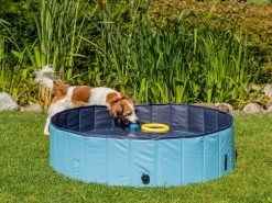 Fetch Pet Swimming Pool Large -Gardena Store 920414 fetch pet swimming pool large 4