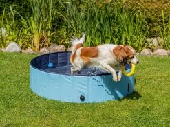 Fetch Pet Swimming Pool Large -Gardena Store 920414 fetch pet swimming pool large 5