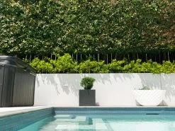 Cubo Fiberstone Planter Black 64L -Gardena Store 920858 cubo fiberstone planter 64l 4c