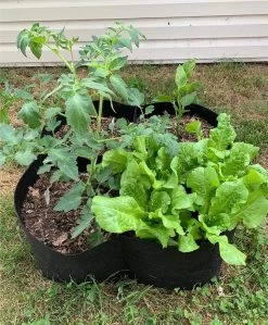 Fabric Raised Garden Bed - 4 Pockets -Gardena Store 925785 fabric raised garden bed 4 pockets 2