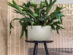 Ronda Fiberstone Planter Cream 21L -Gardena Store 933070 ronda fiberstone planter cream 21l 1