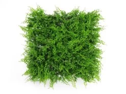 Artificial Green Wall Fern Fusion 3m²