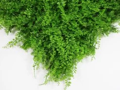 Artificial Green Wall Fern Fusion 3m² -Gardena Store 934173 artificial green wall fern fusion 3m a038 3