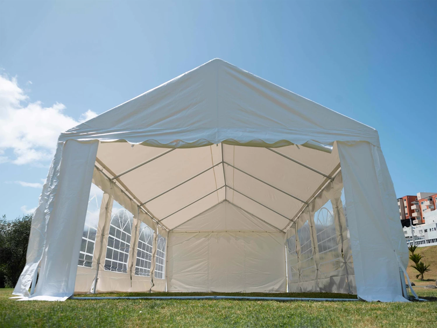 Great White Marquee Short Bungees - 50 Pack - Image 5