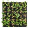 Wall Hung Planter Non-Woven 36 Pocket - 2 Pack -Gardena Store 938859 wall hung planter non woven 36 pocket 2 pack 1b