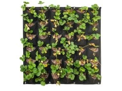 Wall Hung Planter Non-Woven 36 Pocket - 2 Pack