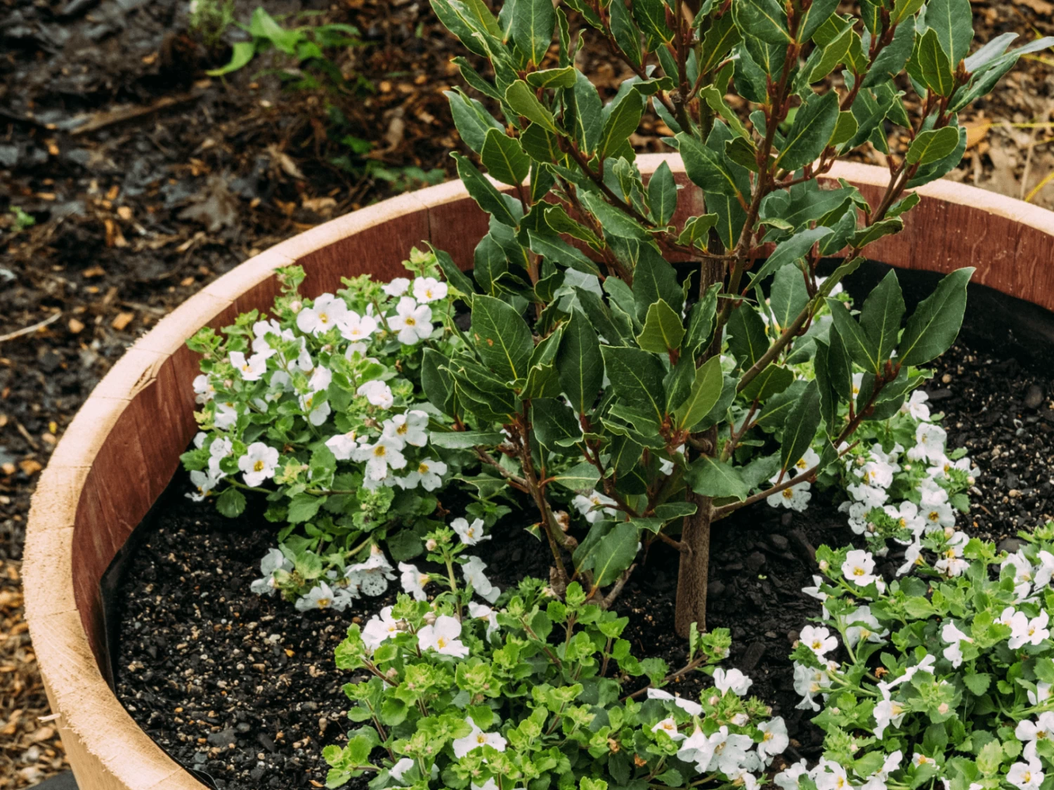 Wine Barrel Half Liner Kit 5 Wine Barrel Half Liner Kit - Image 3