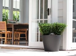 Cubeta Fiberstone Planter Black 96L 13 Cubeta Fiberstone Planter Black 96L -Gardena Store 939517 cubeta fiberstone planter 96l 5b