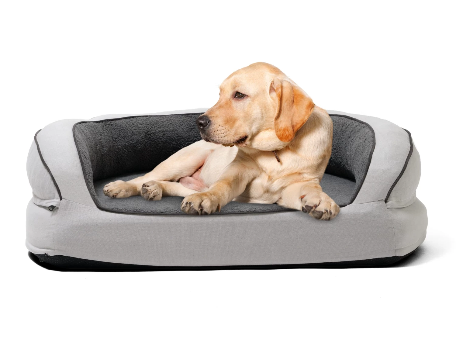 Fetch Orthopedic Memory Foam Sofa Dog Bed Large 4 Fetch Orthopedic Memory Foam Sofa Dog Bed Large - Image 2