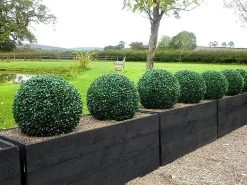 Artificial Topiary Hedge Ball English Box 48cm - Pair 9 Artificial Topiary Hedge Ball English Box 48cm - Pair -Gardena Store 951249 artificial topiary hedge ball english box 4