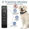 Fetch Advanced Dog Training Collar No Shock - 2 Collars -Gardena Store 956095 fetch dog training collar no shock 3b
