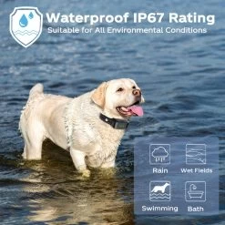 Fetch Advanced Dog Training Collar No Shock - 2 Collars -Gardena Store 956095 fetch dog training collar no shock 4b