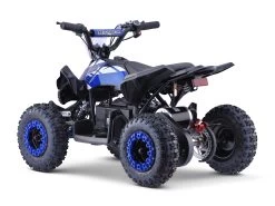 Kids Mini Quad Bike 800W Electric Blue -Gardena Store 958174 kids mini quad bike 800w electric blue 2