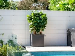 Cubo Fiberstone Planter Black 216L -Gardena Store 963879 cubo fiberstone planter 216l 2