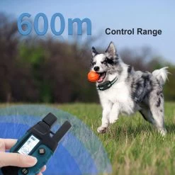 Fetch Dog Training Collar Waterproof No Shock - 2 Collars