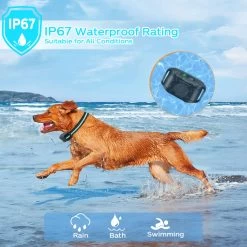 Fetch Dog Training Collar Waterproof No Shock 19 Fetch Dog Training Collar Waterproof No Shock -Gardena Store 966142 fetch dog training collar waterproof no shock 6b