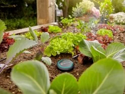 Gardena Soil Moisture Sensor -Gardena Store 967926801 gardena soil moisture sensor 3