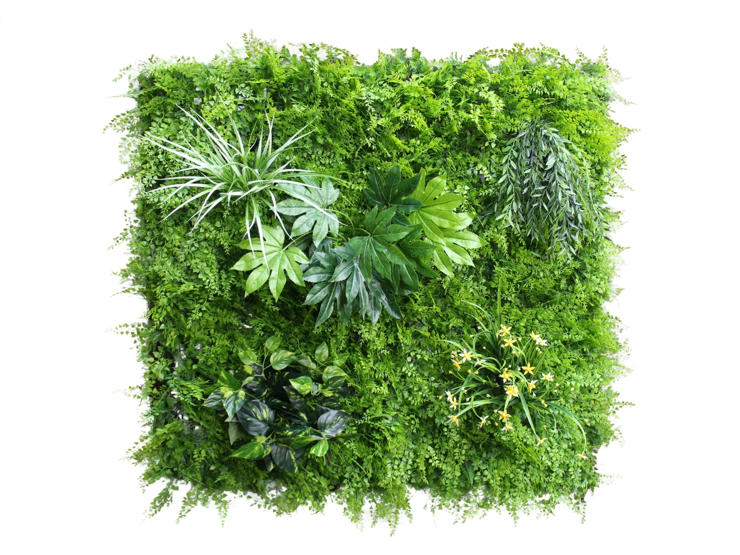 Artificial Green Wall Fern Mixed 1m² 4 Artificial Green Wall Fern Mixed 1m² - Image 2