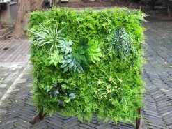 Artificial Green Wall Fern Mixed 1m² 13 Artificial Green Wall Fern Mixed 1m² -Gardena Store 968351 artificial green wall fern mixed 4m loo2 2b