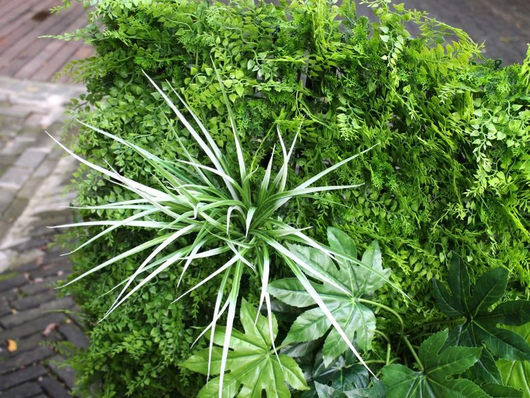 Gardena Store -Gardena Store 968351 artificial green wall fern mixed 4m loo2 3b 768x576 1