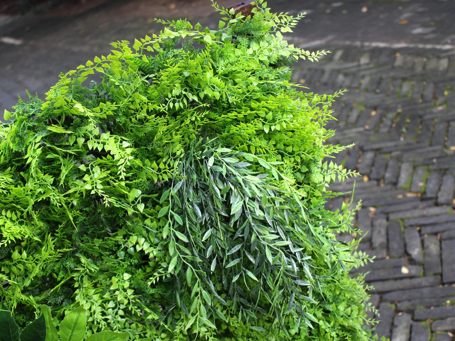Artificial Green Wall Fern Mixed 1m² 5 Artificial Green Wall Fern Mixed 1m² - Image 3