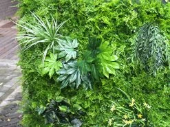 Artificial Green Wall Fern Mixed 1m² 12 Artificial Green Wall Fern Mixed 1m² -Gardena Store 968351 artificial green wall fern mixed 4m loo2 5b