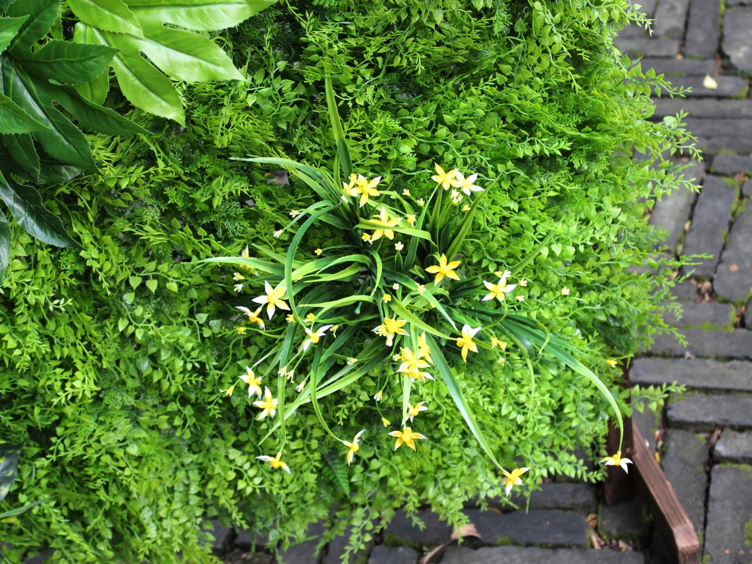 Artificial Green Wall Fern Mixed 1m² 8 Artificial Green Wall Fern Mixed 1m² - Image 6