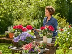 Gardena Pump Sprayer 1L 17 Gardena Pump Sprayer 1L -Gardena Store 970462701 gardena pump sprayer 1l 6