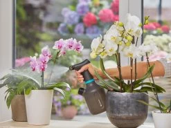 Gardena Pump Sprayer 1L 19 Gardena Pump Sprayer 1L -Gardena Store 970462701 gardena pump sprayer 1l 8