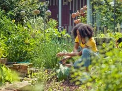 Gardena Expert Cut Secateurs -Gardena Store 970475401 gardena expert cut secateurs 6