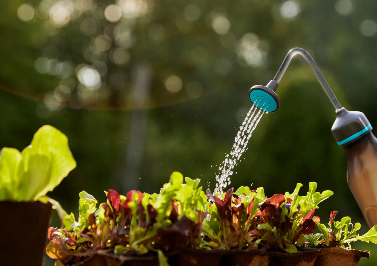 Gardena Soft Spray 450ml 8 Gardena Soft Spray 450ml - Image 6